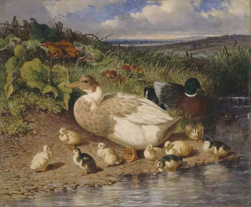 Patos junto a un arroyo - John Frederick Herring, Sr.