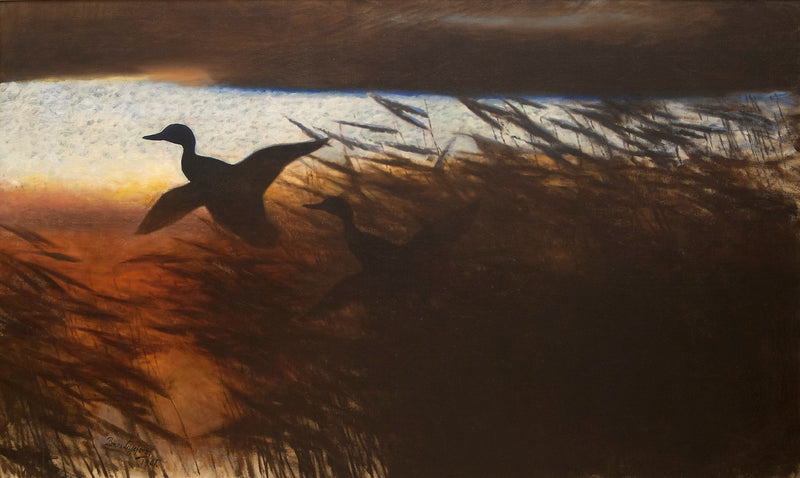 Cría de patos de verano - Bruno Liljefors