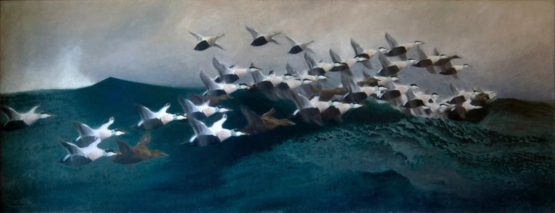 Patos Eider volando en formación - Bruno Liljefors