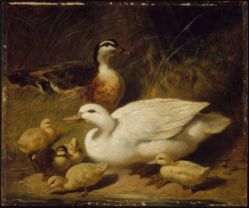 Patos y patitos - John Frederick Herring, Sr.