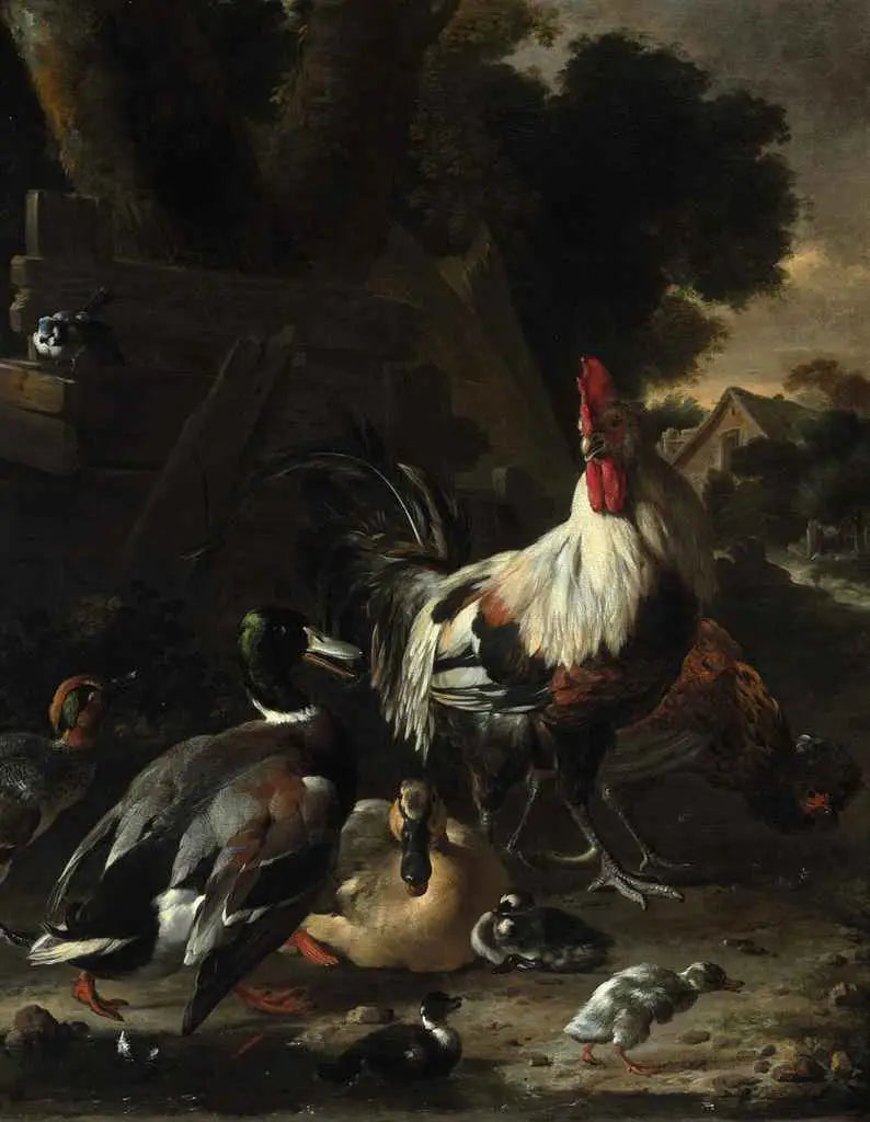 Patos, gallinas y otras aves de corral en un patio - Melchior de Hondecoeter