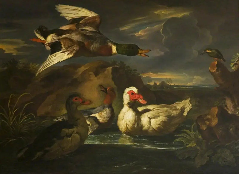 Patos salvajes con martín pescador - Melchior de Hondecoeter