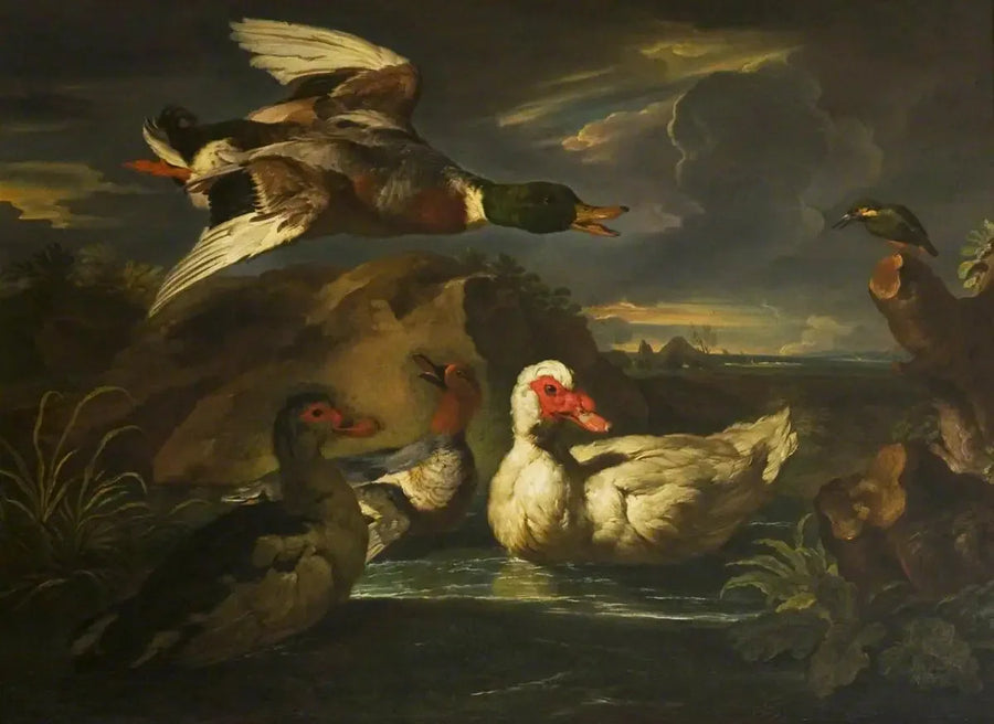 Patos salvajes con martín pescador - Melchior de Hondecoeter