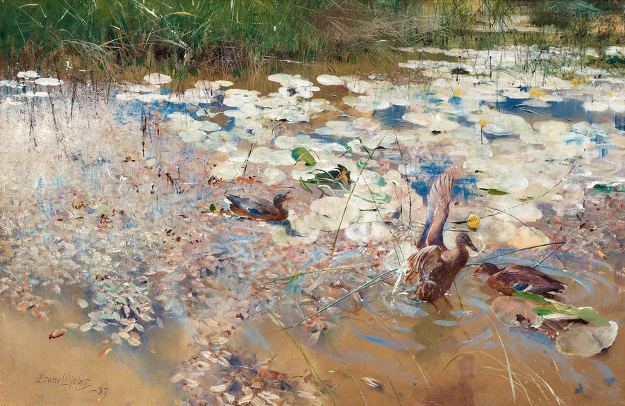 patos salvajes - Bruno Liljefors