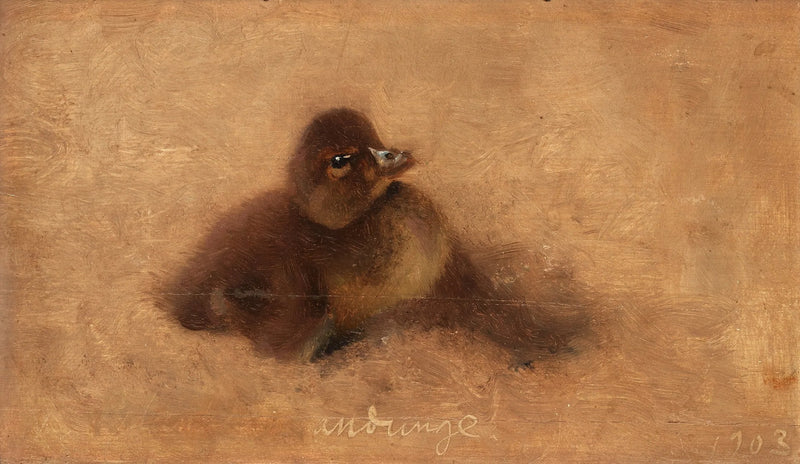 Patito - Bruno Liljefors