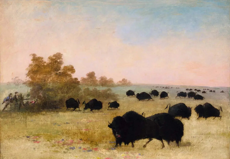 Catlin y Party Persiguiendo Búfalos, Alto-Misuri - George Catlin