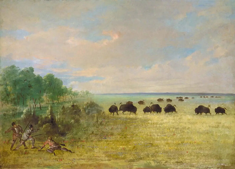 Catlin y Party persiguen a Buffalo en Texas - George Catlin