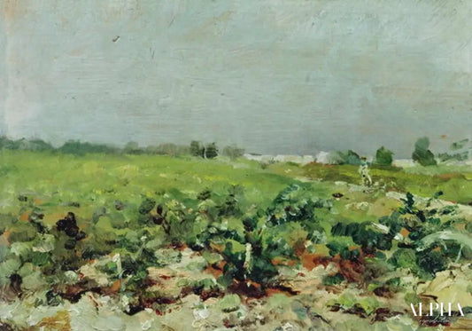 Celeyran, vue sur le vignoble - Toulouse Lautrec - Reproductions de tableaux et peintures haut de gamme