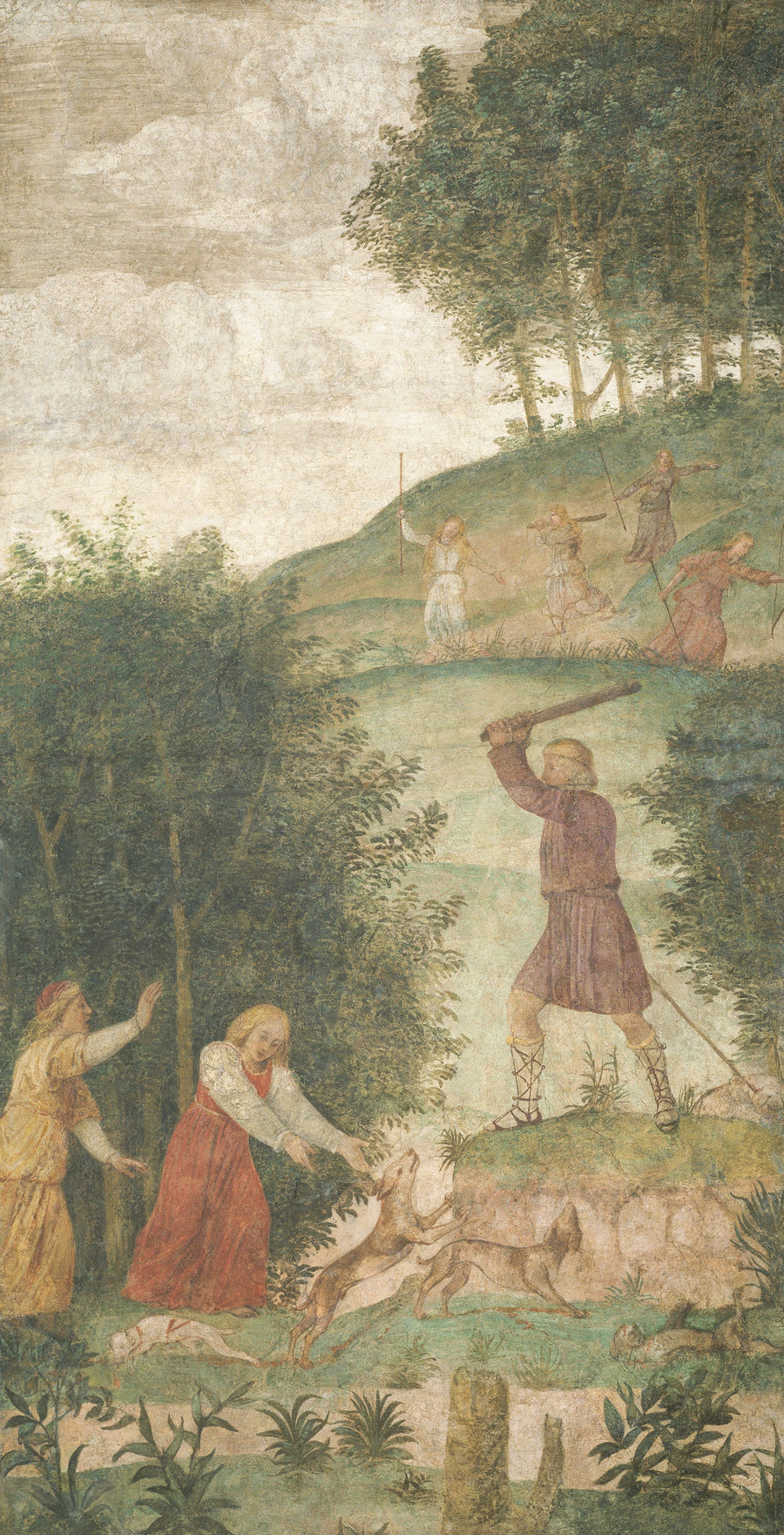 Céfalo castigado en la caza - Bernardino Luini