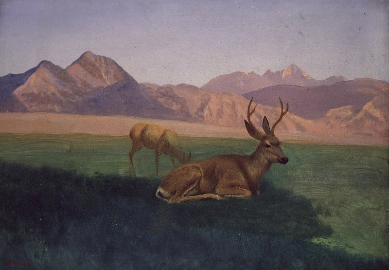 Ciervo - Albert Bierstadt