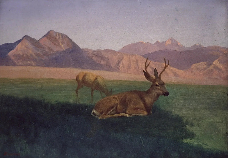 Ciervo - Albert Bierstadt