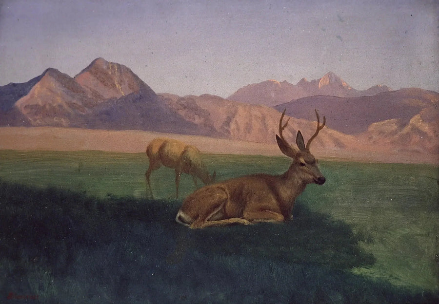 Ciervo - Albert Bierstadt