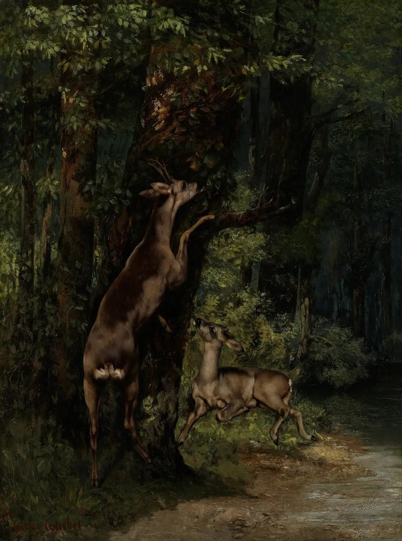 Ciervo en el bosque - Gustave Courbet