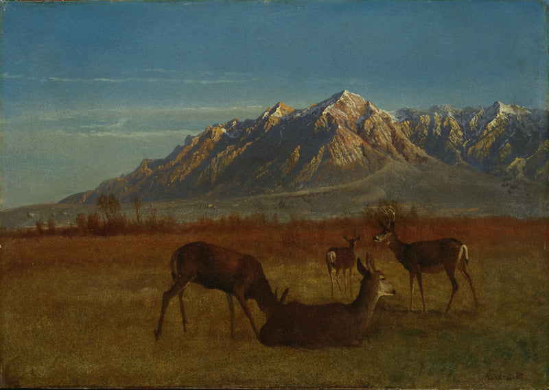 Ciervo en una casa de montaña - Albert Bierstadt