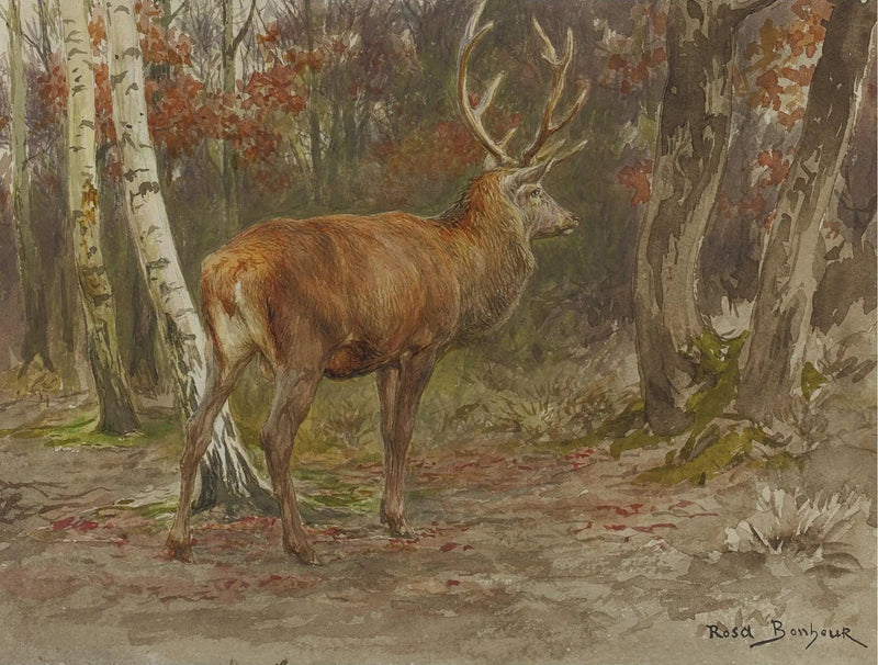 Ciervo vigilante - Rosa Bonheur