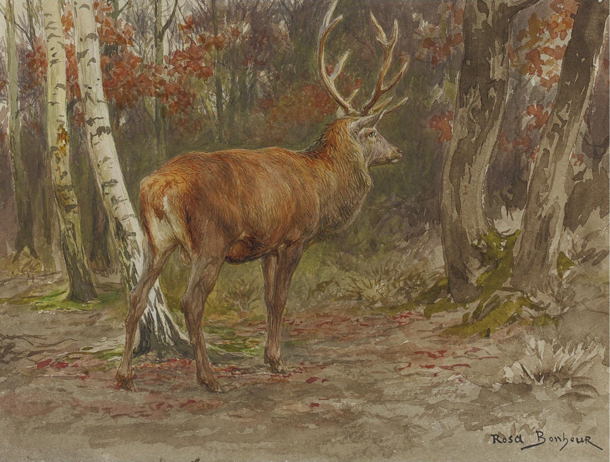 Cerf vigilant - Rosa Bonheur - Alpha Reproduction