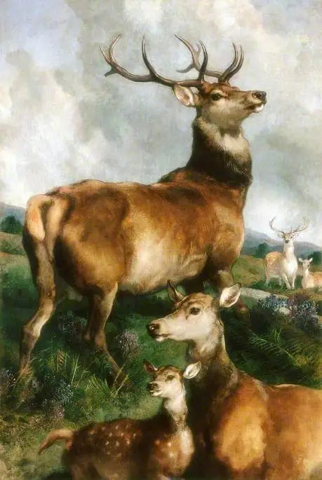 Ciervos del parque de Chillingham, Northumberland - Edwin Henry Landseer