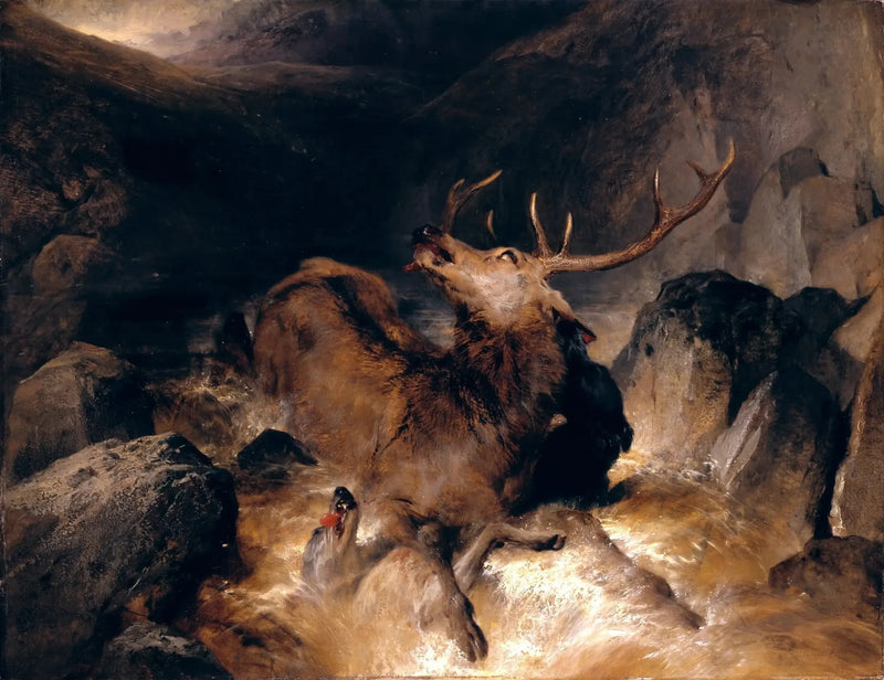 Ciervos y perros de caza en un torrente de montaña - Edwin Henry Landseer