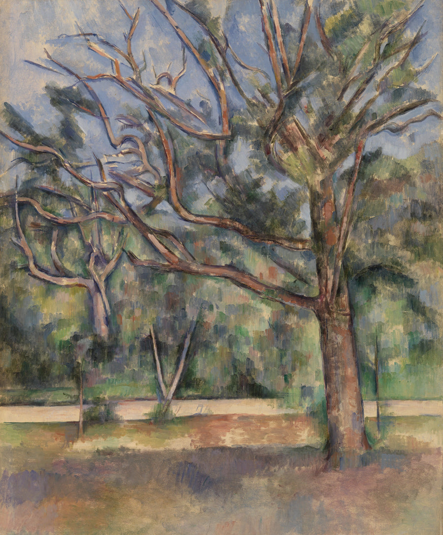 Árboles y camino - Paul Cézanne