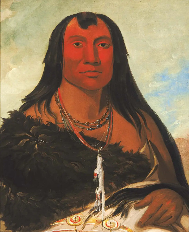 Cháh-ee-chópes, Cuatro Lobos, un chef de luto - George Catlin