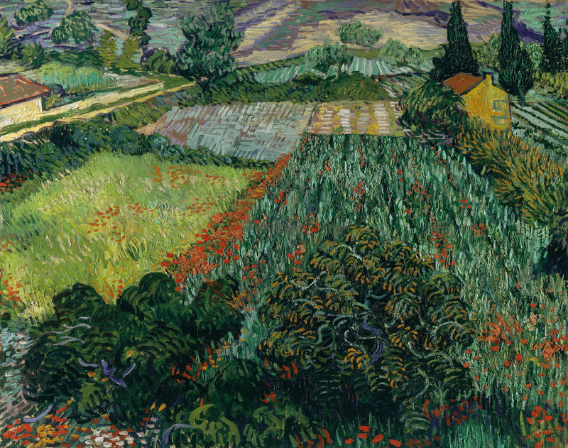Campo de amapolas - Vincent van Gogh