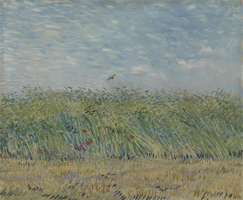 Campo de trigo con alondra - Vincent van Gogh