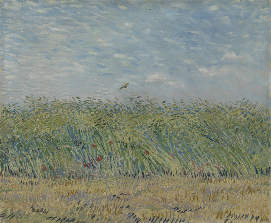 Campo de trigo con alondra - Vincent van Gogh