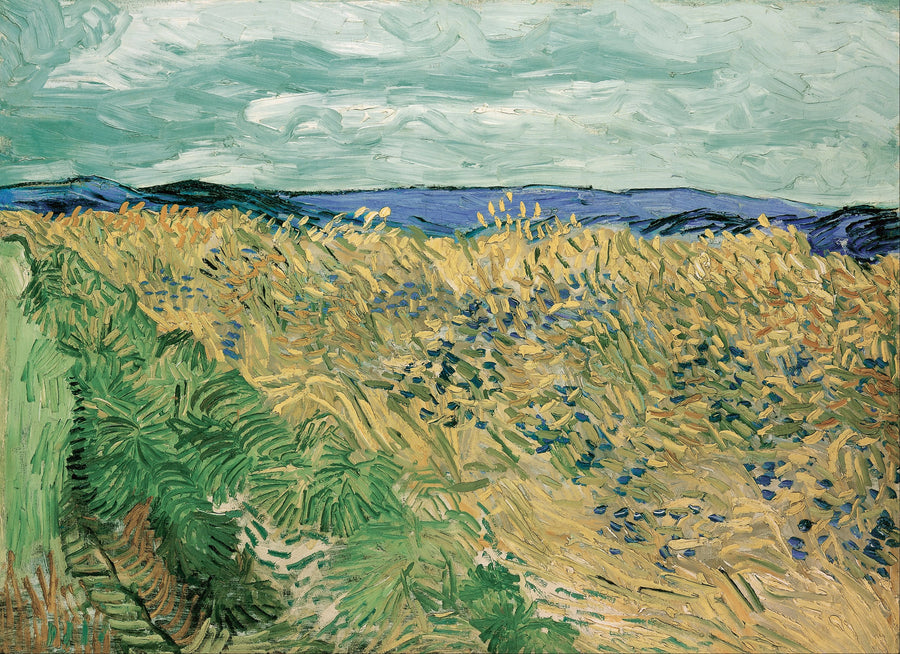Campo de trigo con acianos - Vincent van Gogh