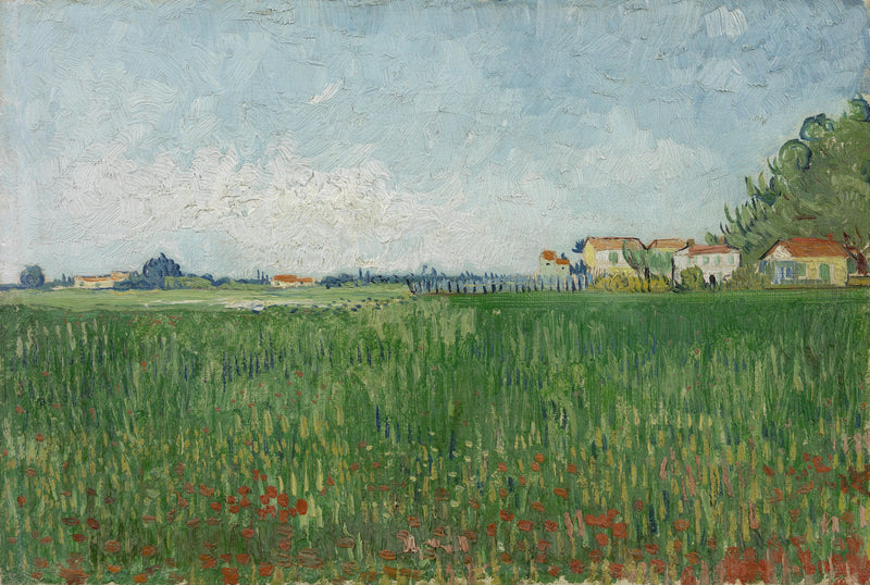 Campo de amapolas - Vincent van Gogh