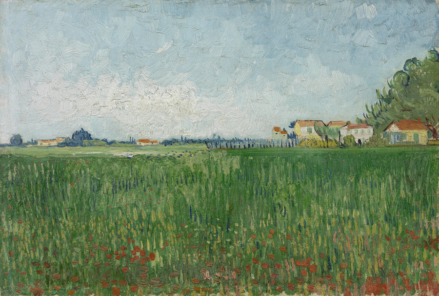 Campo de amapolas - Vincent van Gogh