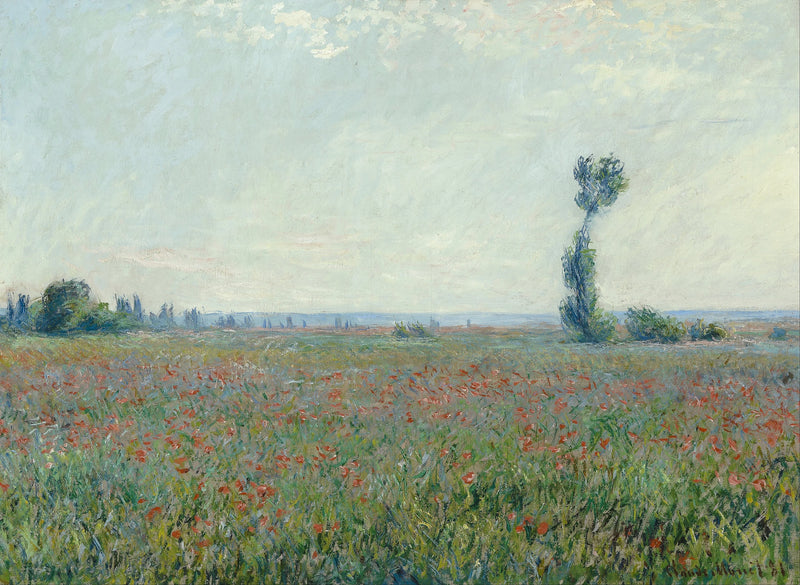 Campo de amapola W677 - Claude Monet