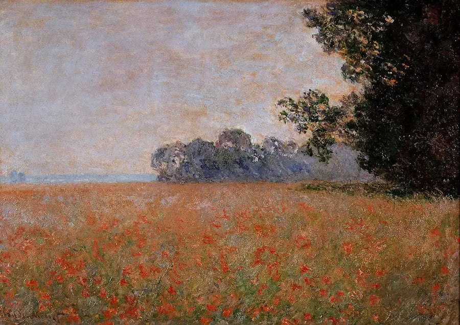 Campo de avena con conchas - Claude Monet