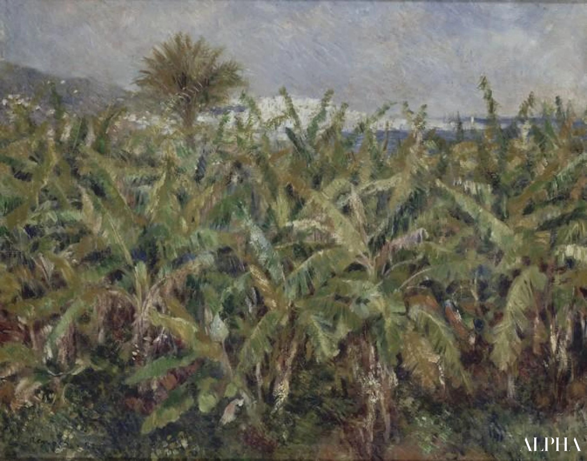 Champ de bananiers (Champ de bananiers) - Pierre-Auguste Renoir - Reproductions de tableaux et peintures haut de gamme
