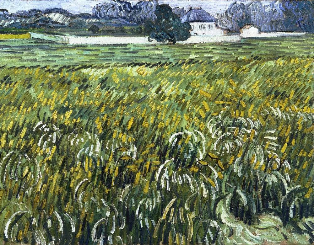 Champ de blé à Auvers avec maison - Vincent van Gogh image 1 reproduction d’œuvre d’art à l’huile