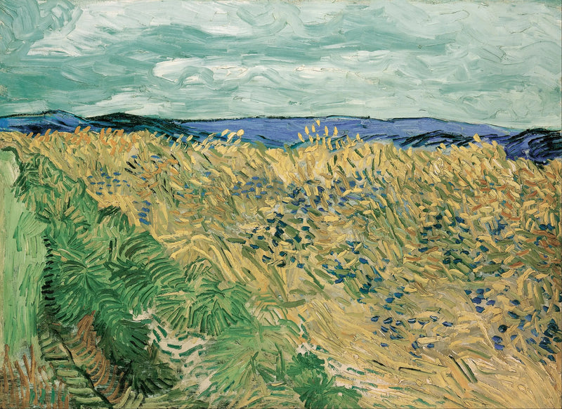 Campo de trigo con acianos - Vincent van Gogh