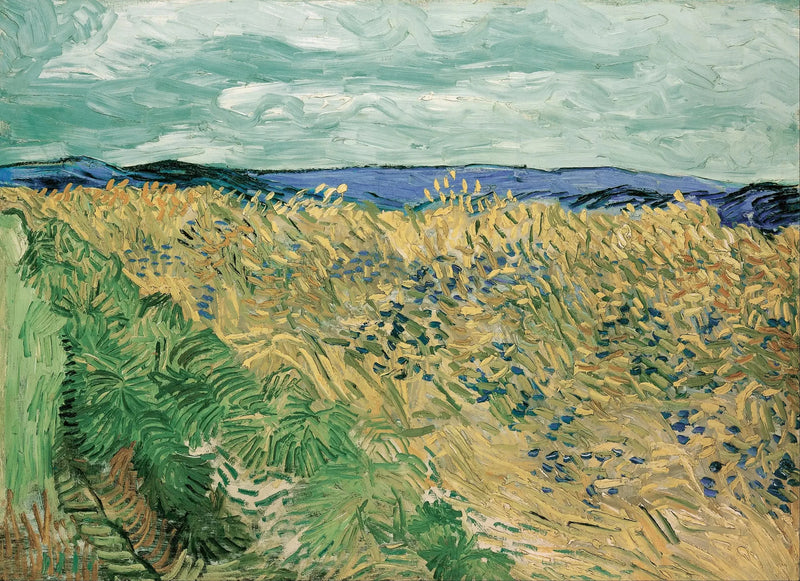 Campo de trigo con acianos - Vincent van Gogh