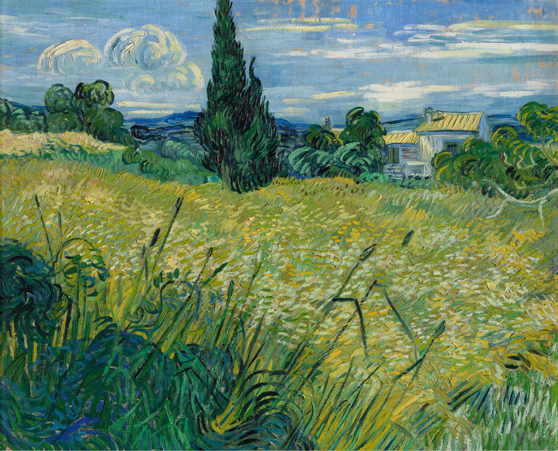El Campo de trigo verde con cipreses - Vincent van Gogh