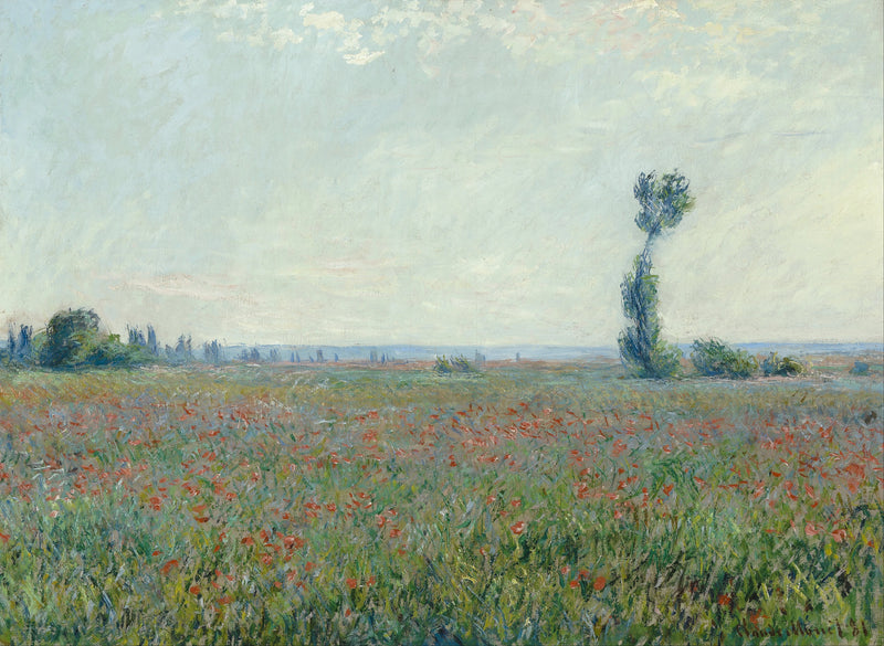 Campo de amapola W677 - Claude Monet