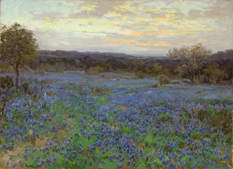 Campo de lupinos azules al atardecer - Julian Onderdonk