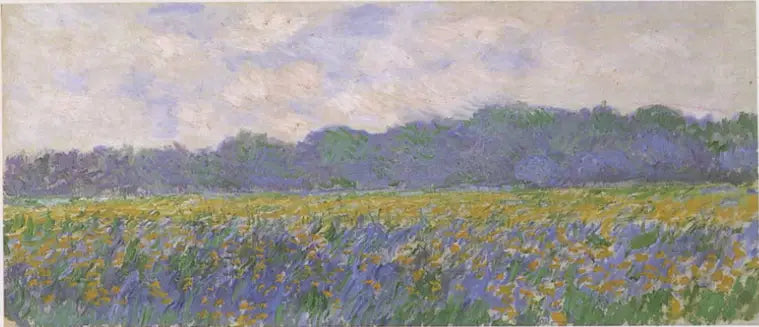 Campo de lirios amarillos en Giverny - Claude Monet