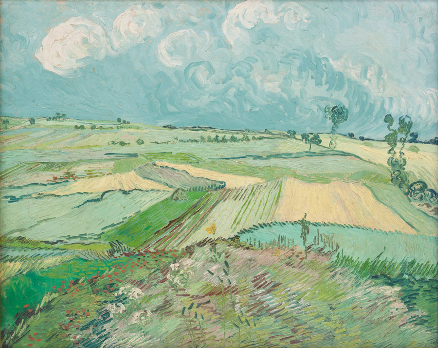 Campos de trigo después de la lluvia - Vincent van Gogh