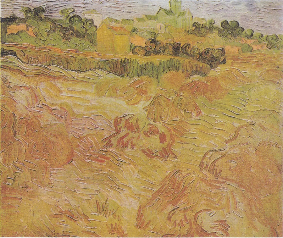 Campos de trigo con Auvers al fondo - Vincent van Gogh
