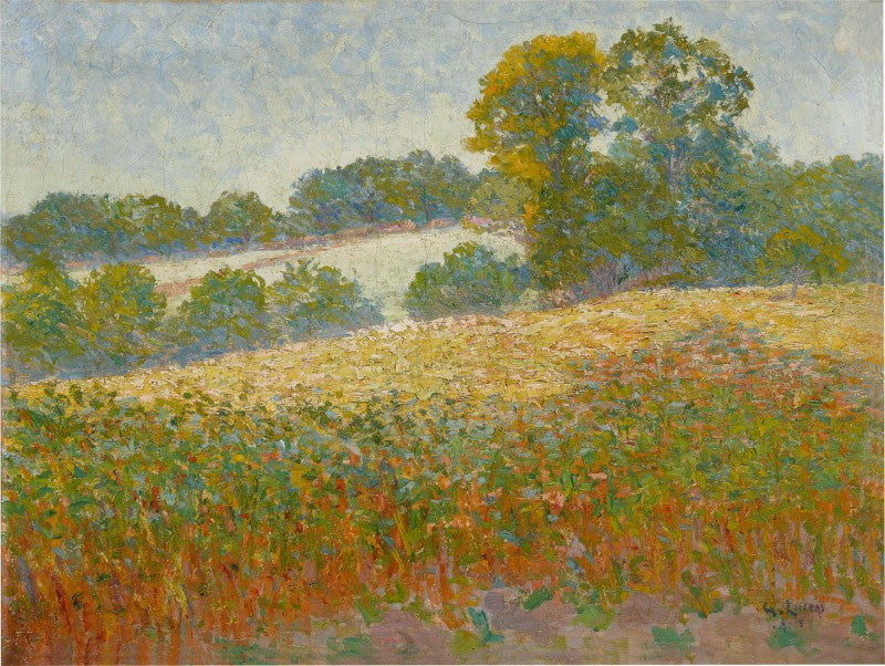 Campos de flores - Gustave Loiseau