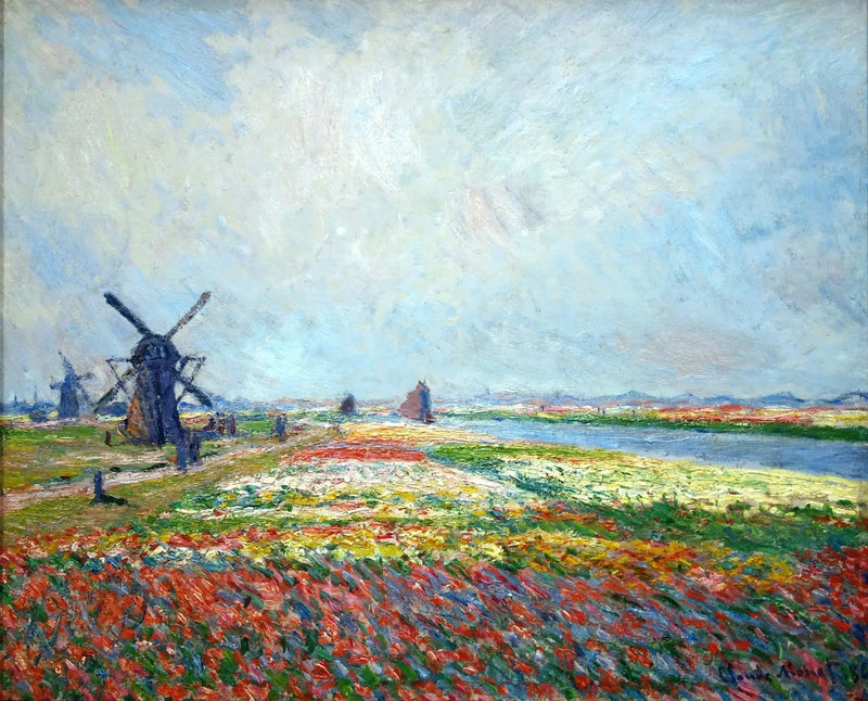 Campos de tulipanes cerca de La Haya - Claude Monet