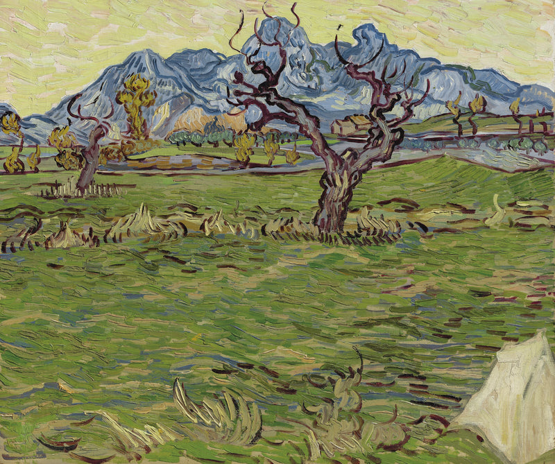 Campos cerca de los Alpilles - Vincent van Gogh