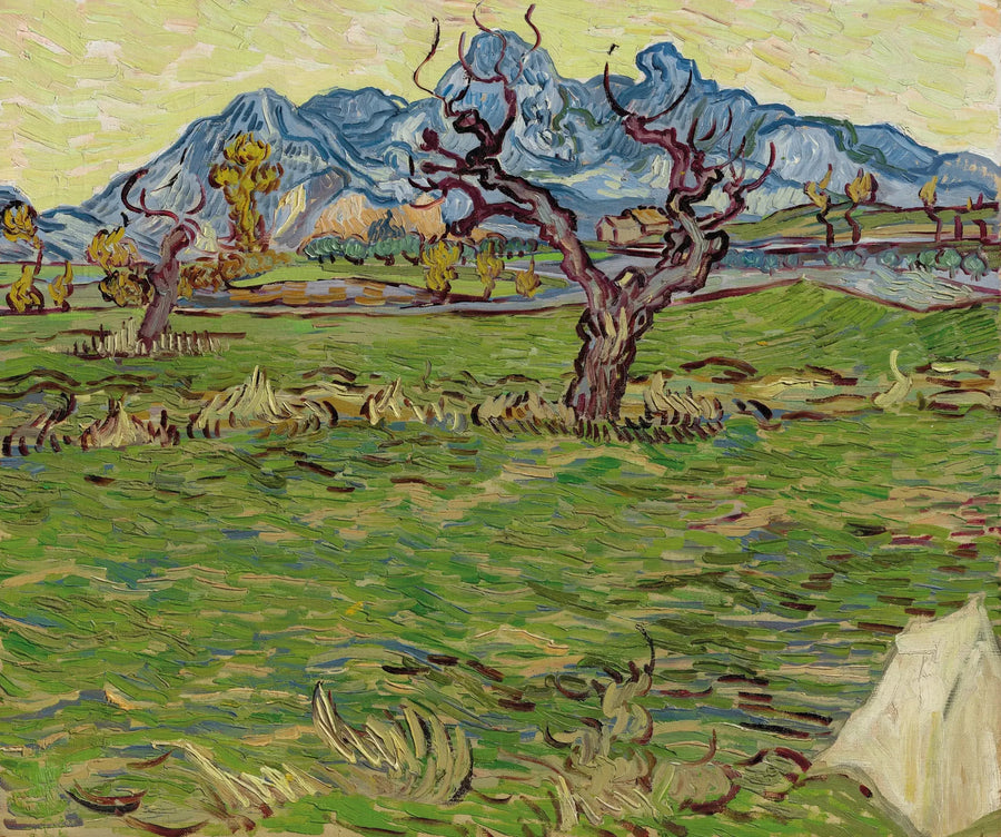 Campos cerca de los Alpilles - Vincent van Gogh