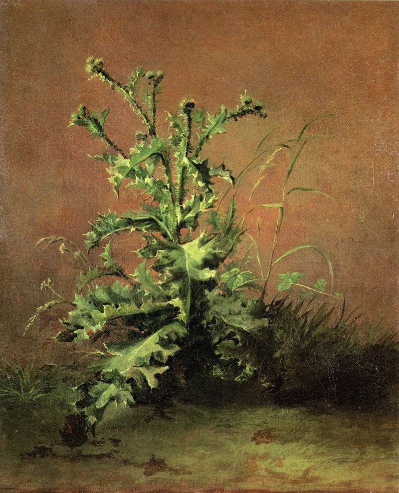 Cardos - Édouard Manet