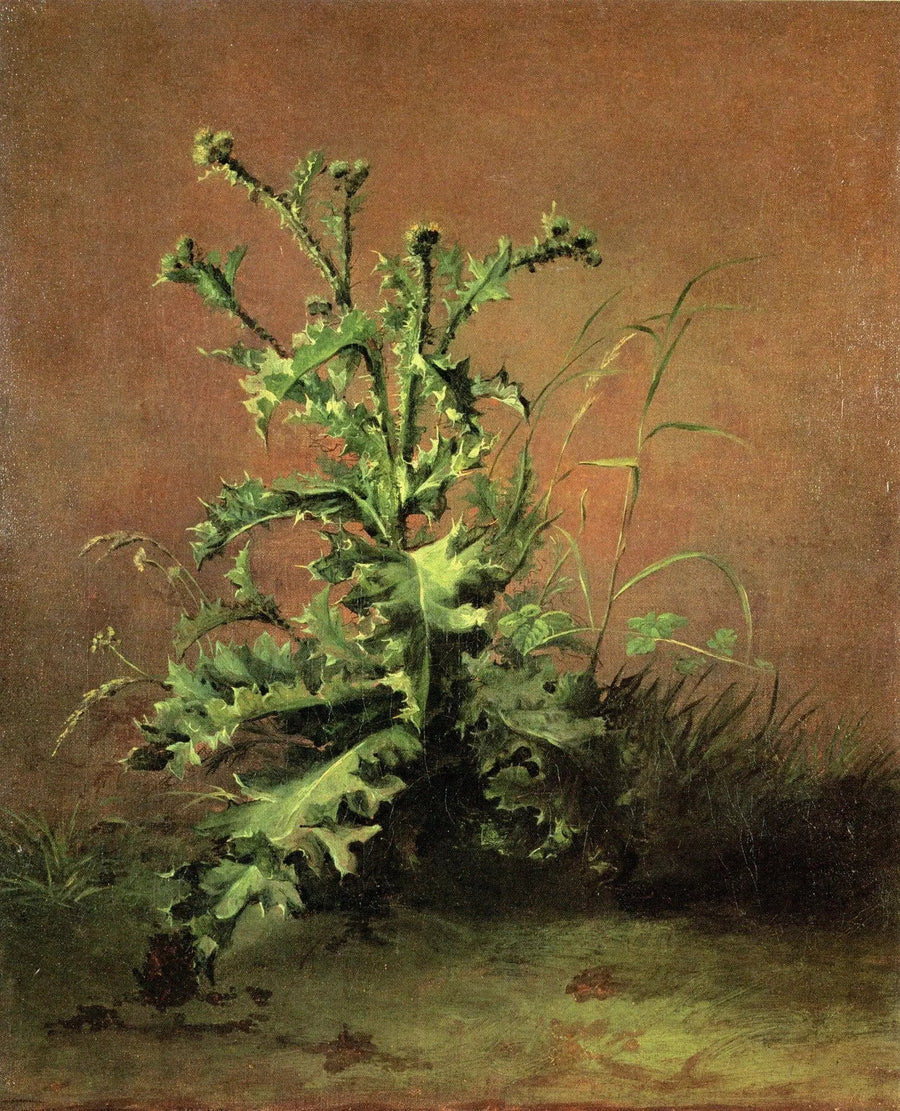 Cardos - Édouard Manet