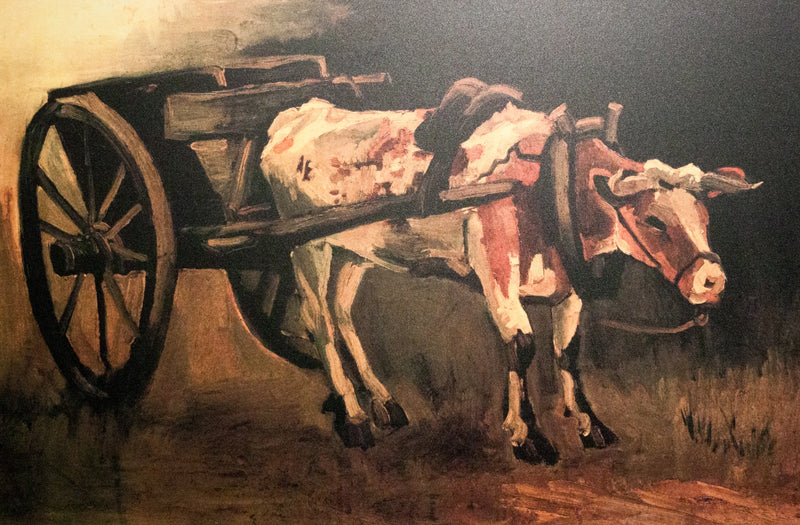 Carreta con buey rojo y blanco - Vincent van Gogh