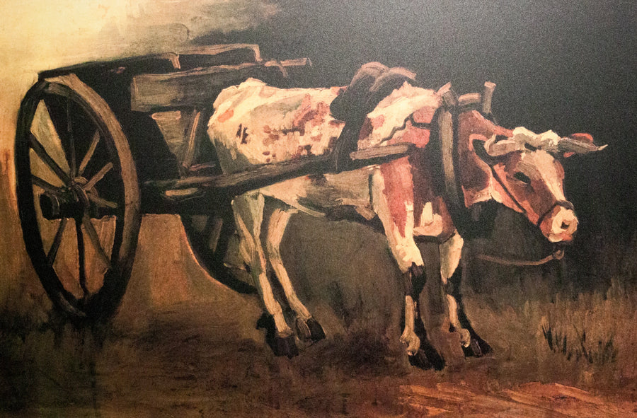 Carreta con buey rojo y blanco - Vincent van Gogh